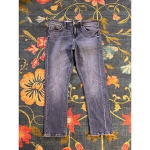 Anthropologie Pilcro Slim Boyfriend Straight Jeans Size 31